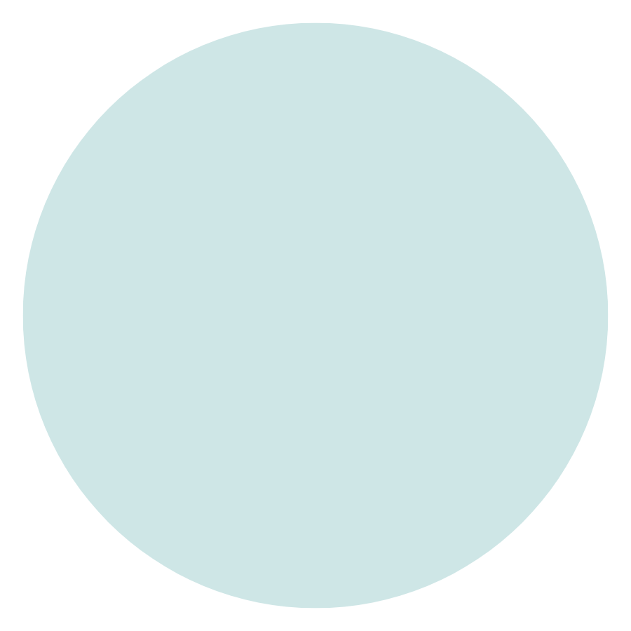 Color sample (100 ml.)