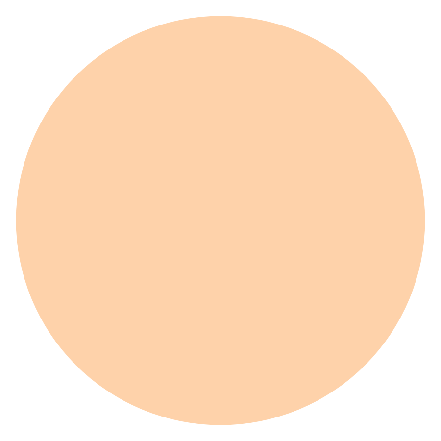 Color sample (100 ml.)