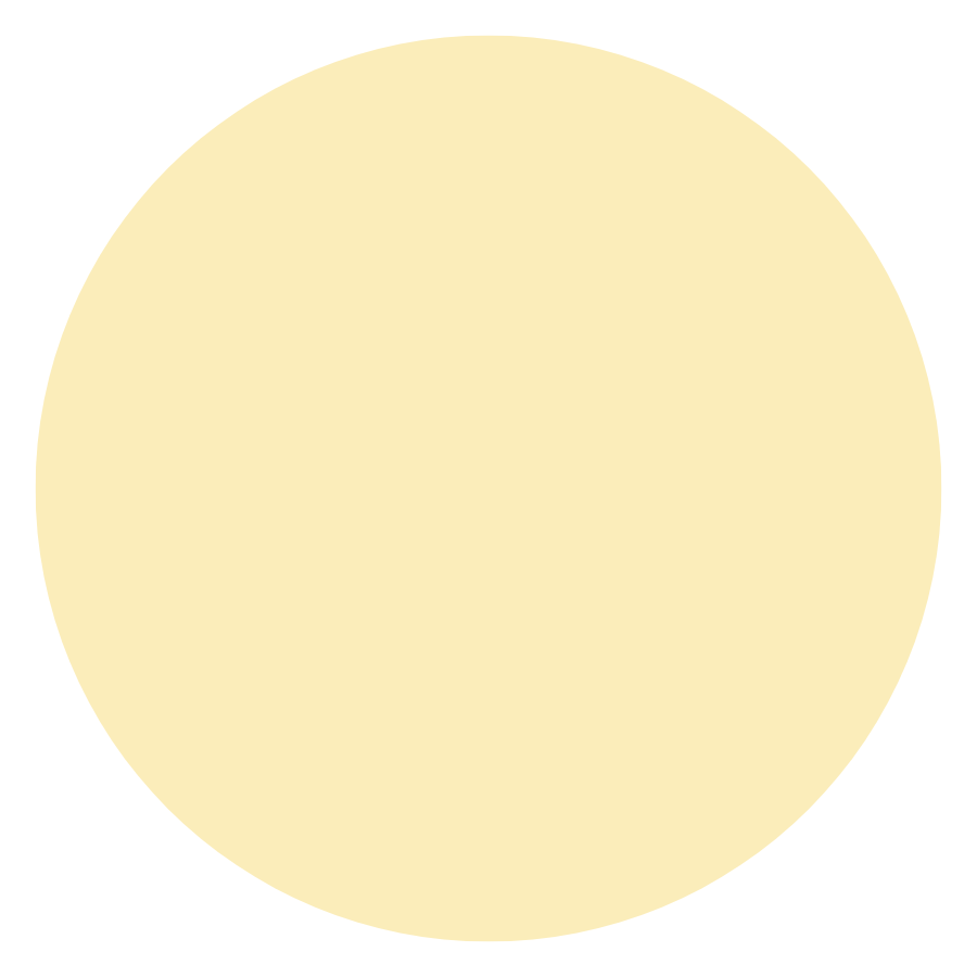 Color sample (100 ml.)