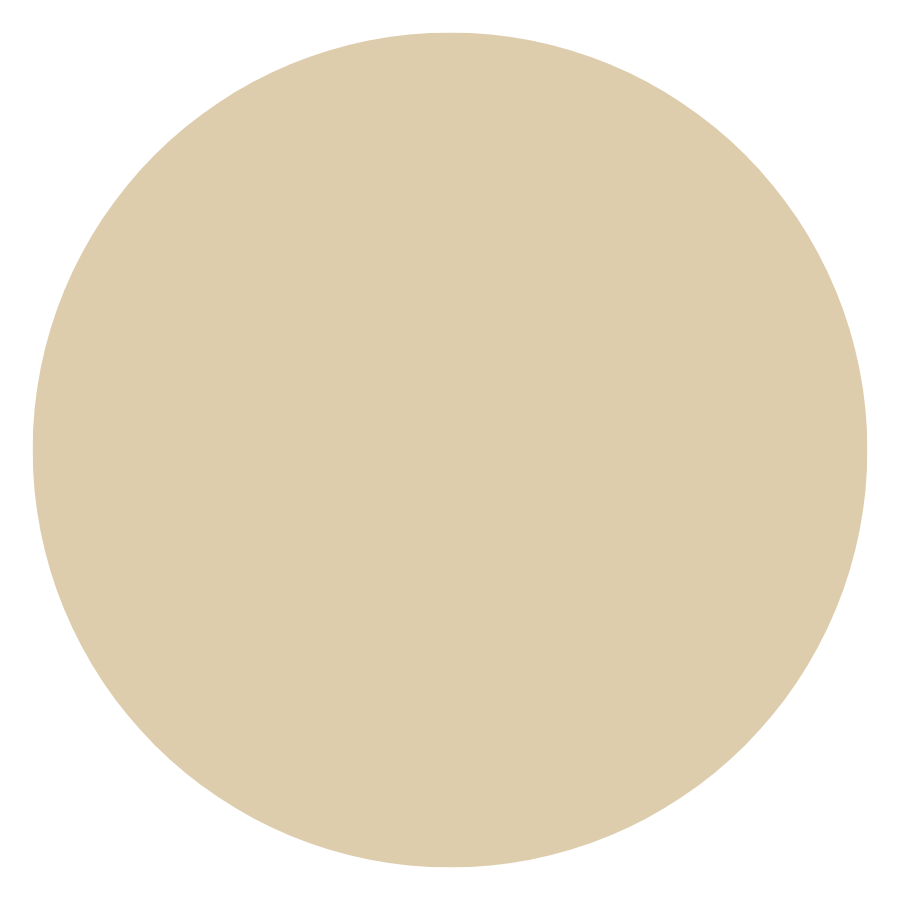 Color sample (100 ml.)